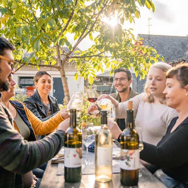 Bio-Wein Erlebnisse